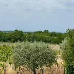 Oliveti Torre * Frata