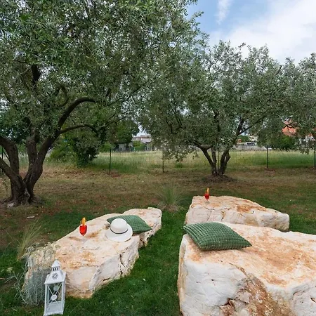 Oliveti Torre * Frata