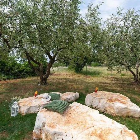 Oliveti Torre 别墅 Frata