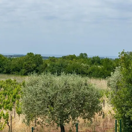 Oliveti Torre * Frata