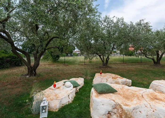 Oliveti Torre * Frata