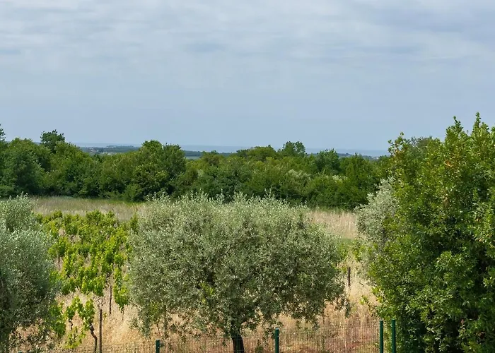 Oliveti Torre * Frata